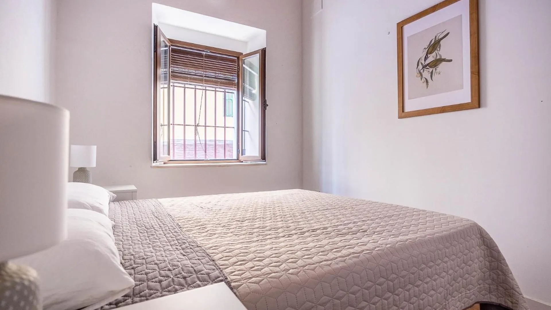 Beautiful Ground Floor Duplex In The Heart Of Seville 0*,  Spain
