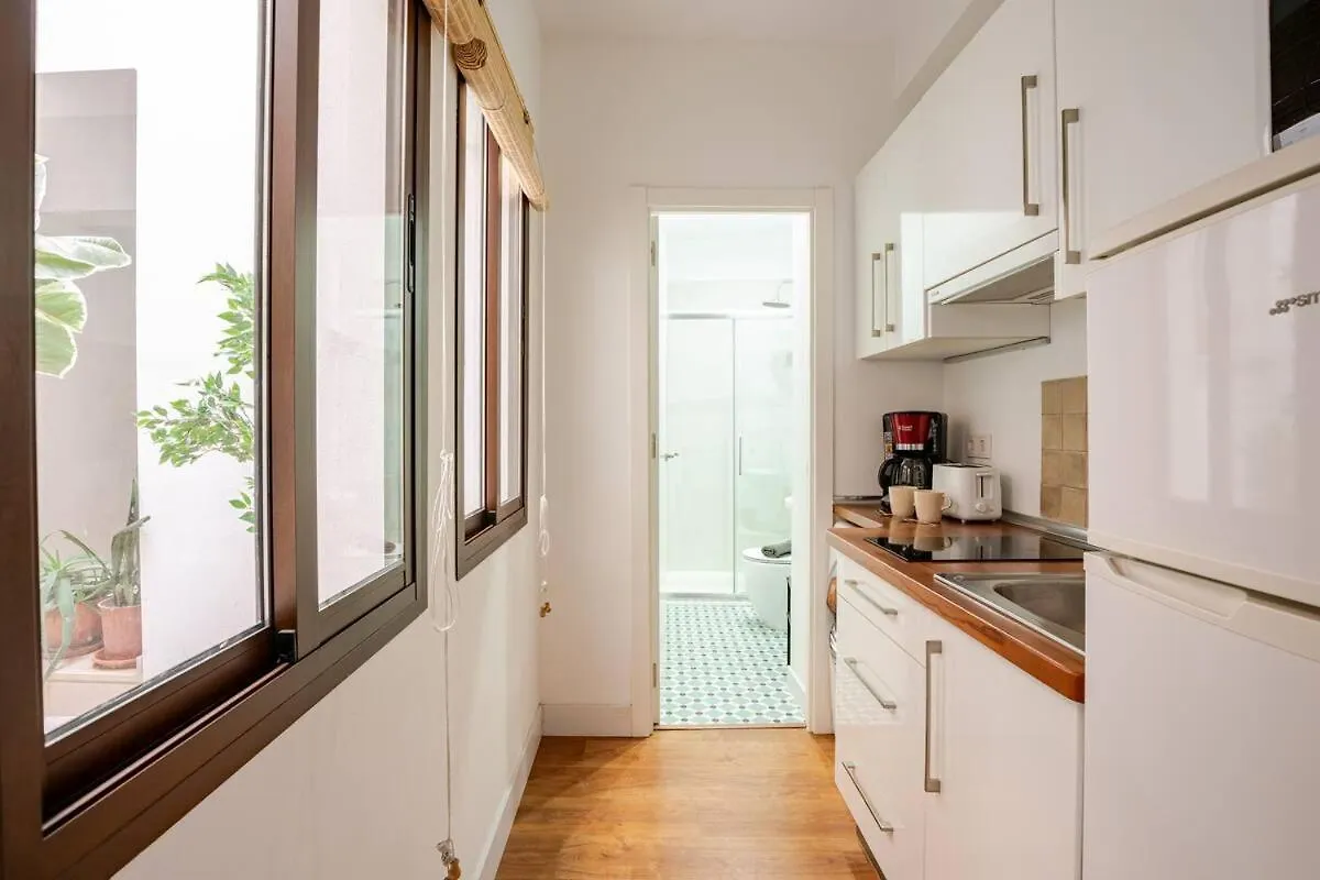 Beautiful Ground Floor Duplex In The Heart Of Seville Spain